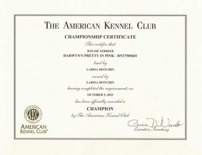 Molly-AKC-CH Molly-AKC-CH