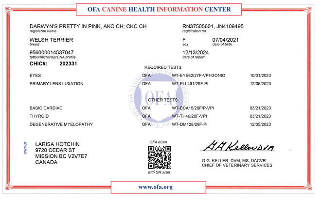 Molly-OFA-CHIC Molly-OFA-CHIC