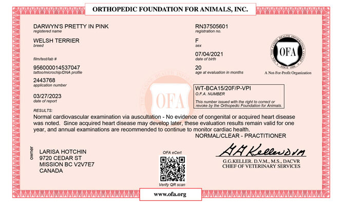 Molly-OFA-Cardiac Molly-OFA-Cardiac