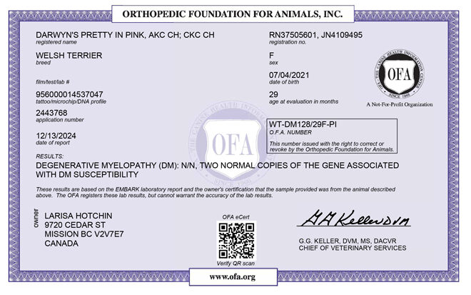 Molly-OFA-DM Molly-OFA-DM