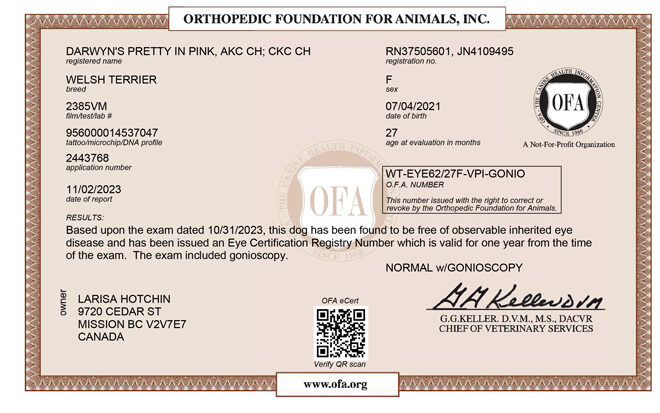 Molly-OFA-EYES Molly-OFA-EYES