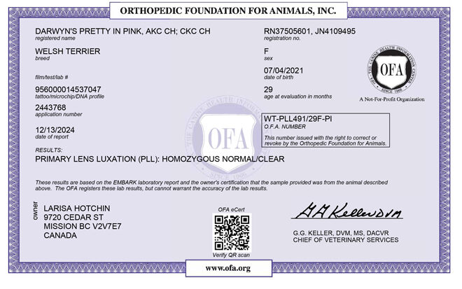 Molly-OFA-PLL Molly-OFA-PLL