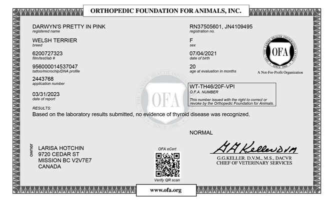 Molly-OFA-Thyroid Molly-OFA-Thyroid