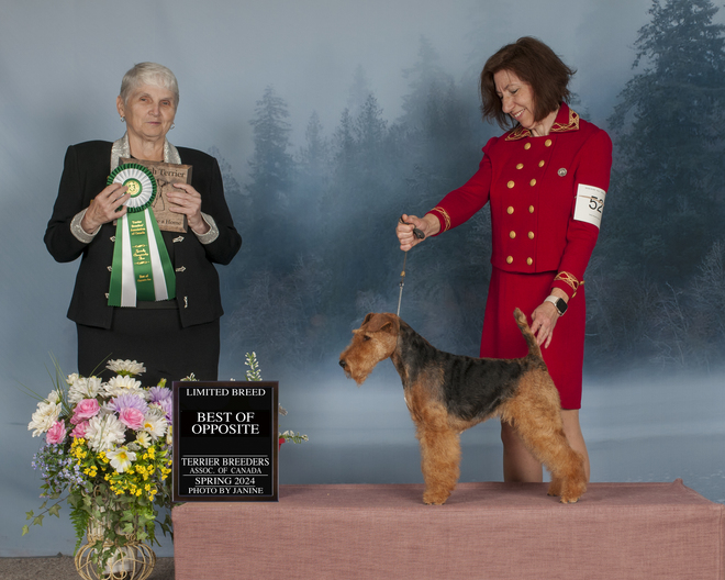 Molly-BOS-WTspecialty-2024-Can